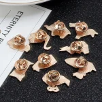 kf-Sf02e133c62424a20b866cf66cffc6b59c-1